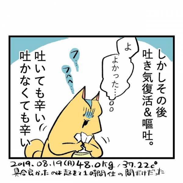 点滴後、吐き気は治まったが…急につわりが消えて“怯えた理由”とは⇒『自分も焦った記憶がある』『体力的にも精神的にも辛い』