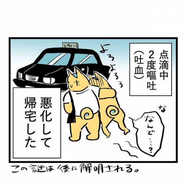 『一向によくならんが！？』産院で”救いの点滴”開始。吐き気が治まるどころか、むしろ悪化している結果に「効かないのはきつい」「合わなかったのかな」