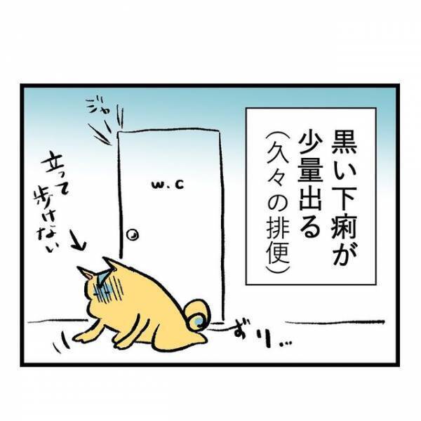 謎の発熱、泡状のよだれ、“吐血”まで…！？『重症妊娠悪阻』と知らず耐え抜く日々…「つわりは個人差がある」「まわりに理解されにくい」