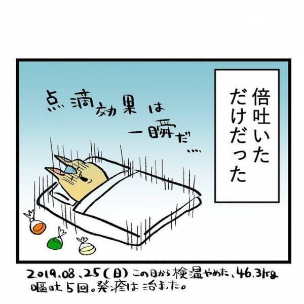 「点滴効くのも一瞬で…」”重症妊娠悪祖”の症状が辛すぎて感情を閉ざしている様子に「気の毒すぎて読むのが辛い」「病気と同じくらいの辛さ」