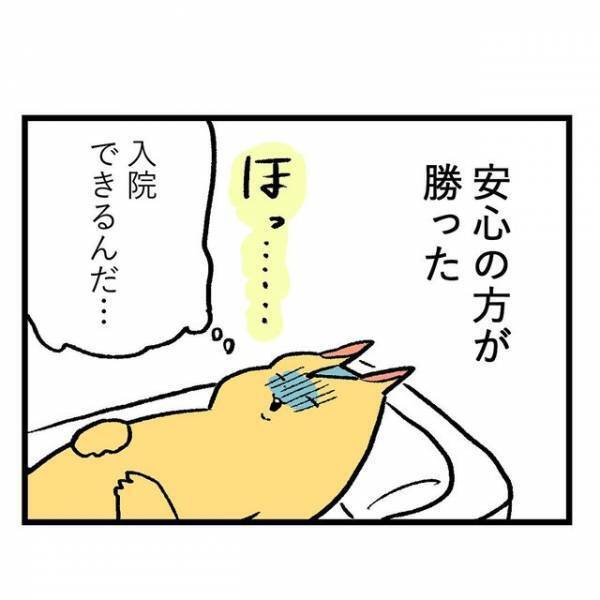 つわりで吐血…。大学病院の診察で『入院』できることに。そこで判明した“病名”に…｜読者「ツワリは甘く見てはいけない」「安心した」