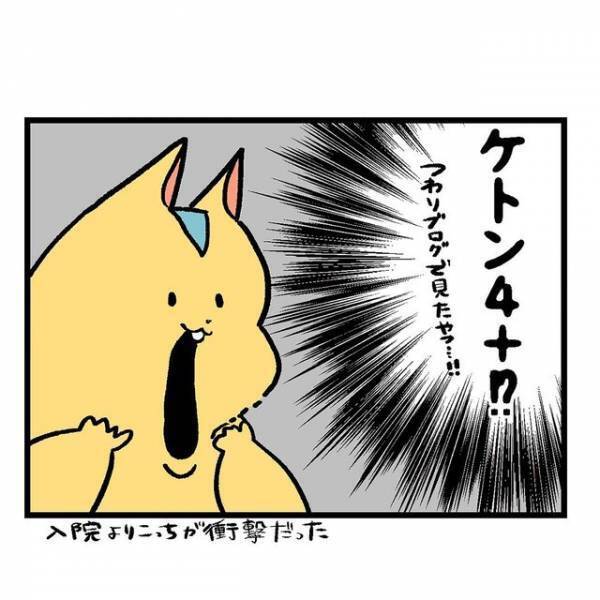 『即入院！？』つわりが重い妊婦さんが尿検査を受けると…？「聞いたことない病名」「そんなことになるなんて」