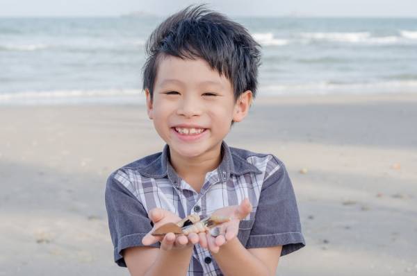 「おにぎりが…！」ピクニック中、鳥に食べられた！？→近くにいた子どもの“優しい行動”にビックリ