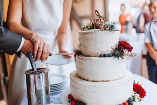 姉の結婚式に出席したら…→まさかの手作りの巨大ケーキに「わくわく」「やってみたい」
