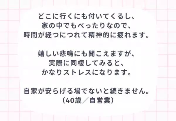 同棲する上で大切なことは？経験者が語る3つのポイント