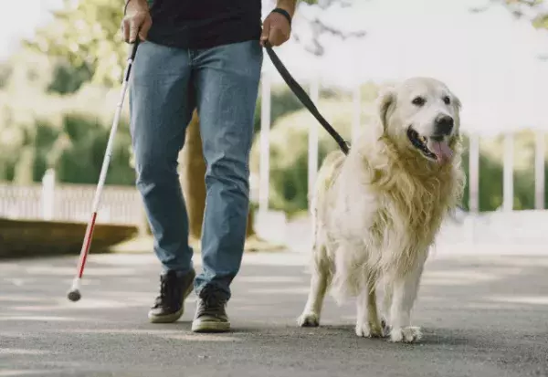 電車で…盲導犬と一緒に乗ろうとする男性。次の瞬間⇒「扉開きました」学生の【対応】に感動！！