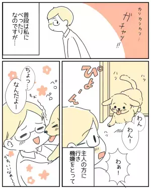 夫婦喧嘩をしてしまった！…→すると、いつも妻にべったりな愛犬がまさかの行動を！？