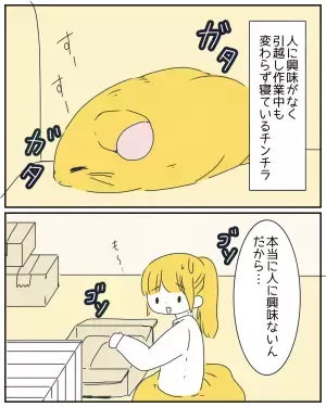 全然なつかないペットのチンチラ。ある日、失恋で”泣く私”に…→「キュー」【初めて見せた行動】に感動…！