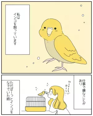 ぼーっとインコを撫でていると…”まさかの行動”に「寄り添ってる」「やさしいね」