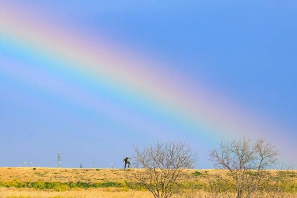 雨上がり、虹に見惚れる2歳の娘。「お家に入るよー」声をかけると…→予想外な状況に『きゃー！』『やられた』