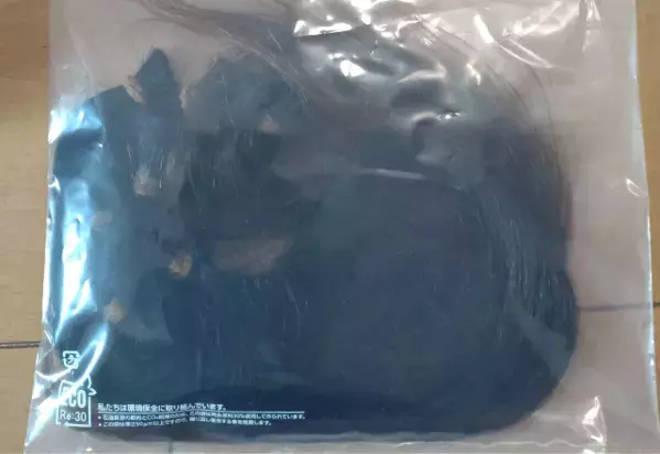 髪の毛を2年間のばした私　お腹までのある髪をバッサリ⇒切った理由に「頑張ったな」　「そんな取り組みあるんだ」