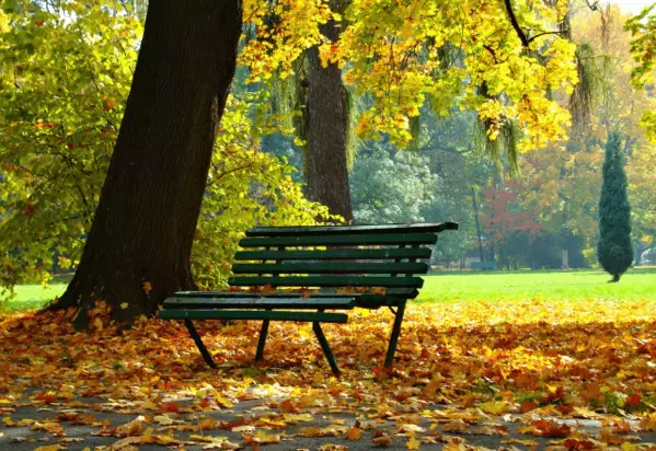 孫と遊ぶ70代の祖父母　祖父が落ち葉を拾うと…→まさかの”ごっこ遊び”に「周囲まで笑顔に」「この時間が一番の贅沢」