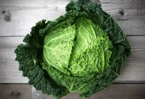 買ったキャベツを廊下に放置→しかし次の瞬間…愛犬の”まさかの行動”に「何これ！」