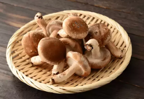 夏休みに「祖父のしいたけ栽培」を手伝った8歳の娘　思い出を綴った作文が”驚きのニュース”に「胸いっぱい」