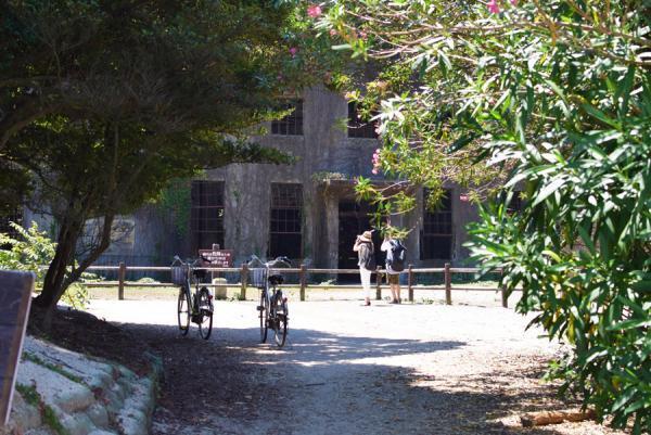 うさぎまみれの島！大久野島でうさぎと触れ合う旅に出る