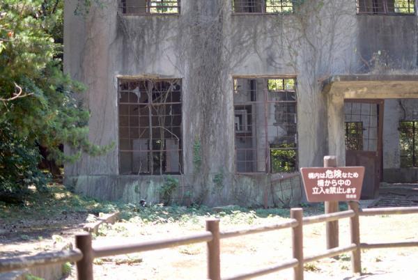 うさぎまみれの島！大久野島でうさぎと触れ合う旅に出る