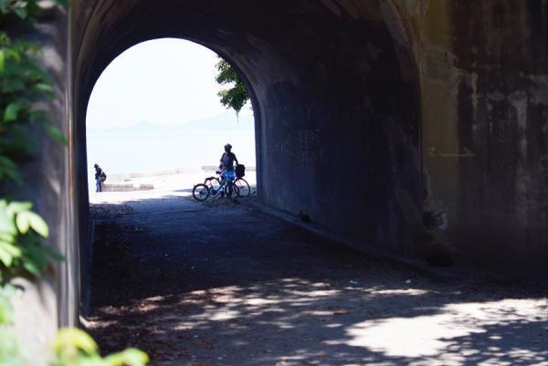 うさぎまみれの島！大久野島でうさぎと触れ合う旅に出る