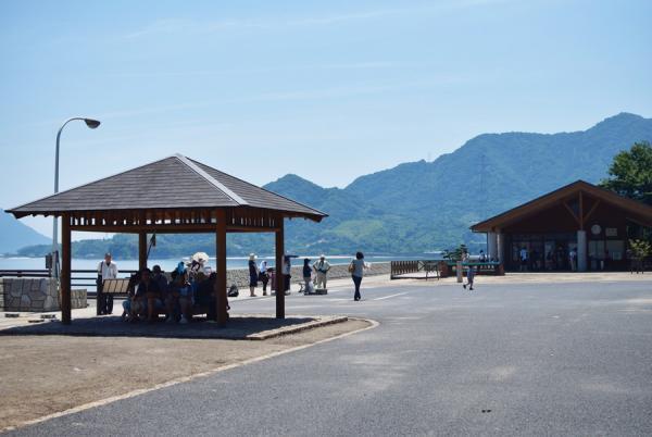 うさぎまみれの島！大久野島でうさぎと触れ合う旅に出る