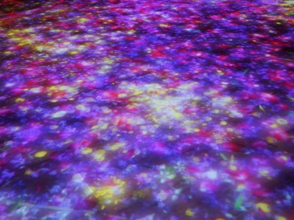 ロクシタン × チームラボ！美と芸術を五感で感じる「 #デジタルプロヴァンス 」