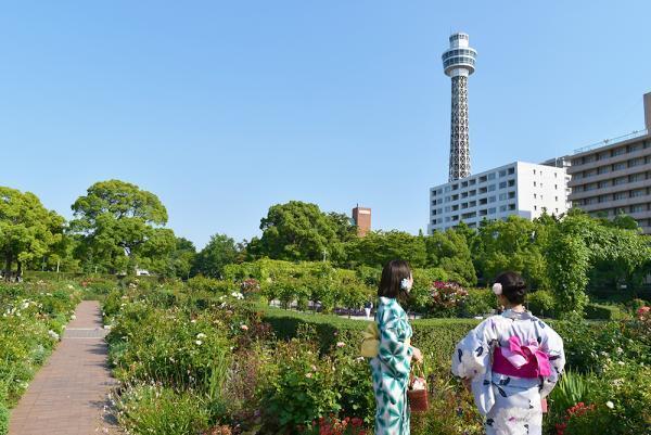 横浜で納涼浴衣クルーズ！マリーンルージュでフレンチコース女子会のススメ