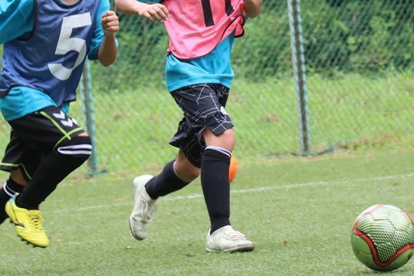 【ランキング】2020年1～7月でもっとも読まれた考える力、子どもの自立がテーマの記事TOP5