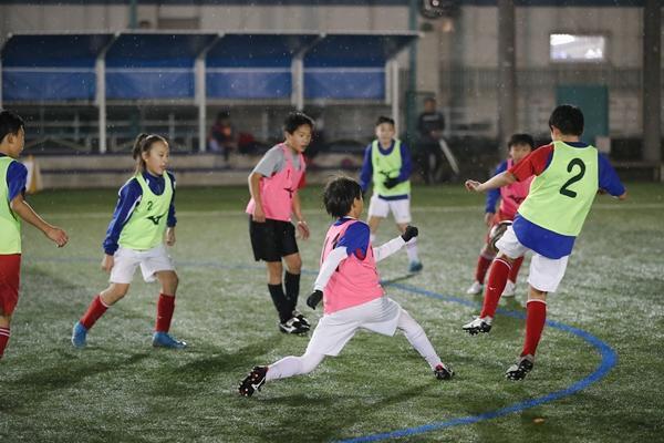 【ランキング】2020年サカイクでもっとも読まれた記事TOP5