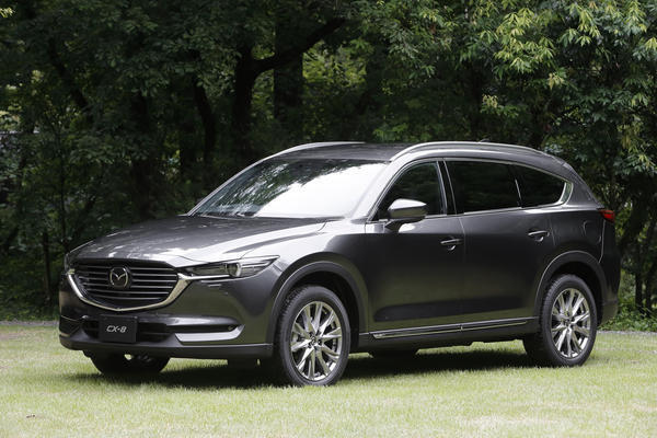 サッカー道具や試合の荷物運び。子どものサッカーに関わる間の車選び、ファミリーカー以外におすすめの１台はこれ