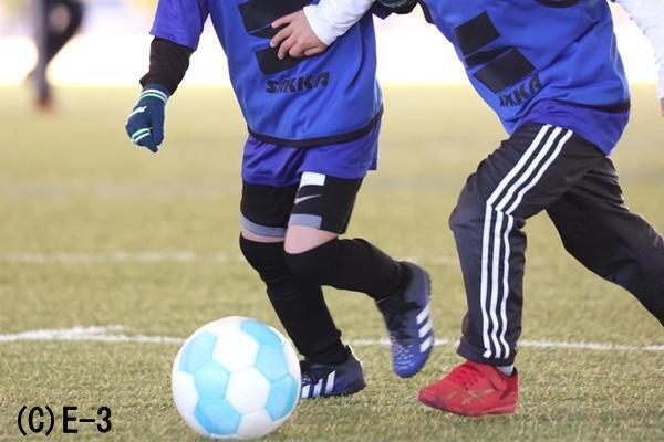 数的優位を作る指導のコツ、どこを見て、何が見えていればいいのか理解させる教え方はある？