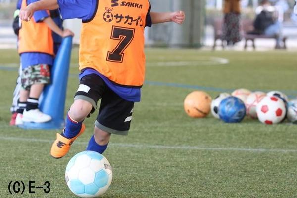 数的優位を作る指導のコツ、どこを見て、何が見えていればいいのか理解させる教え方はある？