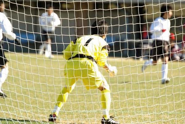 人数はいるけどＧＫやりたい子がいない、上手く褒めて１人を固定にするか複数人で回すかどちらが良いか教えて