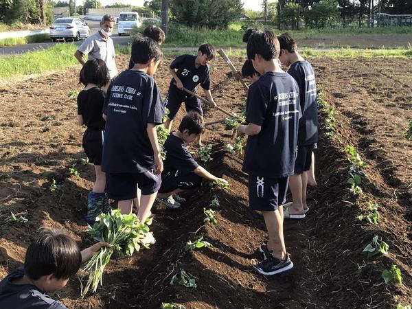 「勝ちを目指す以上に大事なものがある」アベーリャス千葉FCが選手育成で技術習得と同じぐらい大切にしていること