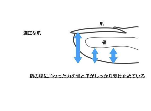 サッカーで高パフォーマンスのために事な「足の爪」、適切な長さに整えるタイミングと巻き爪防止の形とは
