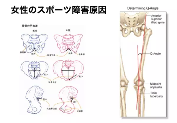 実は冬よりも5月の方がケガが多い！　Jクラブドクターに聞いたその理由と予防策【医師監修】