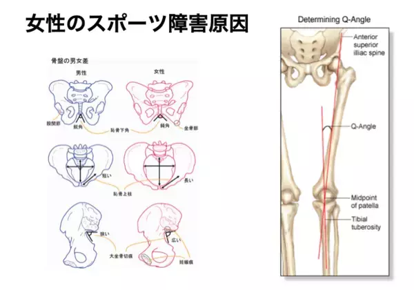 実は冬よりも5月の方がケガが多い！　Jクラブドクターに聞いたその理由と予防策【医師監修】