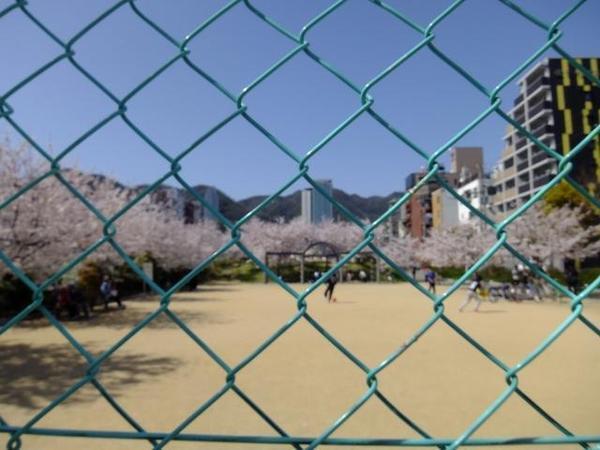 早い子は3年生から。高学年になったら親同士腹の探り合い　子どものサッカーの進路、決めるタイミング