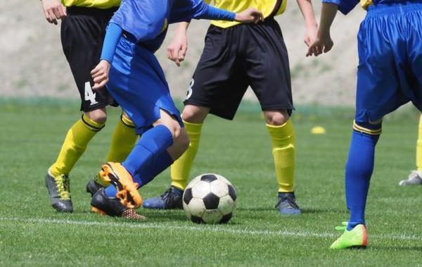 鳥かごでずっと奪えない子への対応、自分が介入しているがもっといい方法がないのか教えて