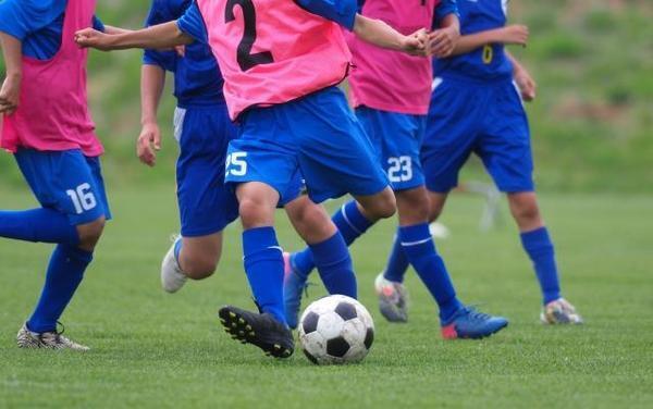 鳥かごでずっと奪えない子への対応、自分が介入しているがもっといい方法がないのか教えて