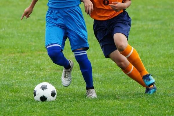 すぐに正解を知りたがる子。自分で考える力をつけてほしいけど、どのようなアプローチが良いか教えて