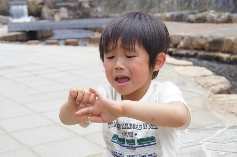蚊に刺されやすい人の体質や特徴とは
