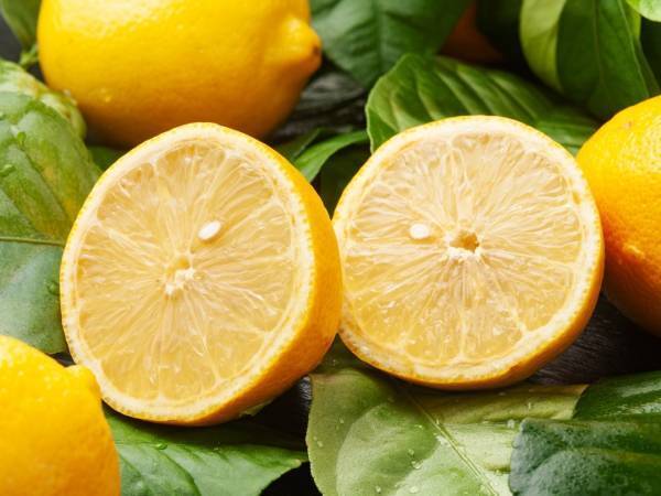 コラーゲン摂取に新たな見解！量だけでなく、種類や相乗効果が期待できる成分を上手に活用しよう！