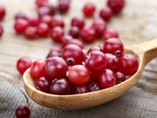 コラーゲンの産生促進剤として特許取得！資生堂発「コケモモ＋アムラ果実」成分とは