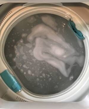 過炭酸ナトリウムで洗濯槽のカビは取れるのか
