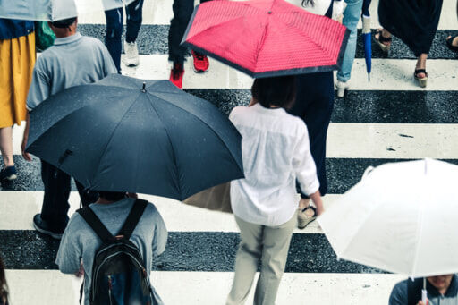 梅雨傘