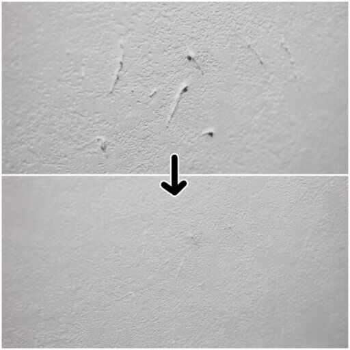 壁紙の猫のひっかき傷は接着剤 キッチンペーパー 綿棒ですぐに直せる 18年11月1日 ウーマンエキサイト 2 2