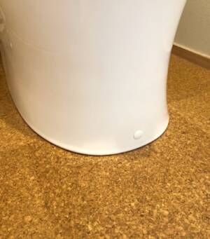 トイレトレーニング中は要注意！臭い発生源は便器と床の隙間？
