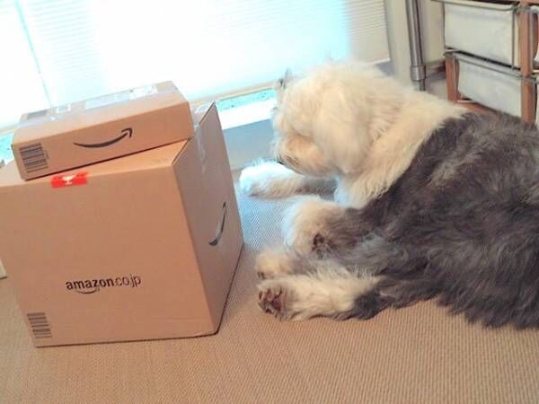 アマゾンの箱