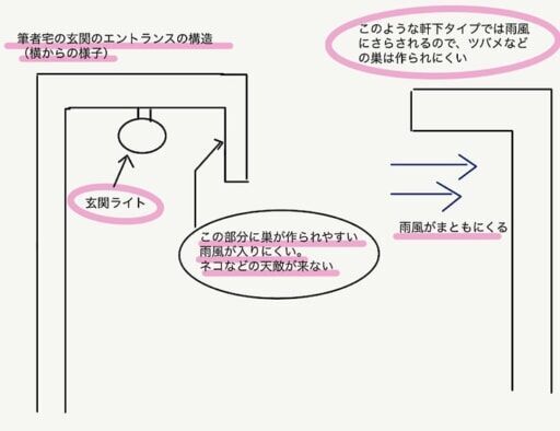 巣をつくられやすい場所