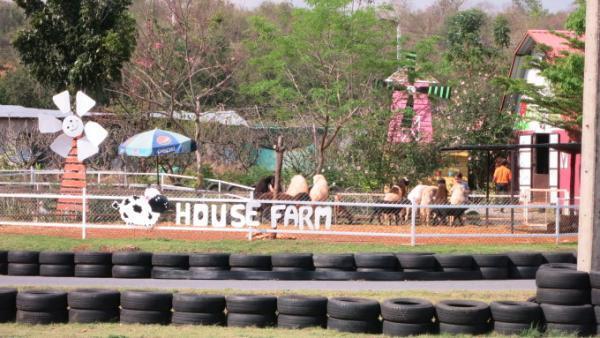 スリル満点ストレス解消！本格ゴーカートに乗ってみよう！