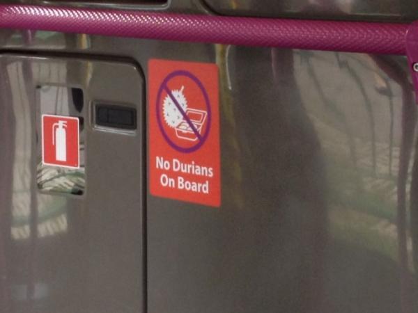 バスを制す者はシンガポールを制す！？ぜひ利用したいローカルバス & 便利アプリ