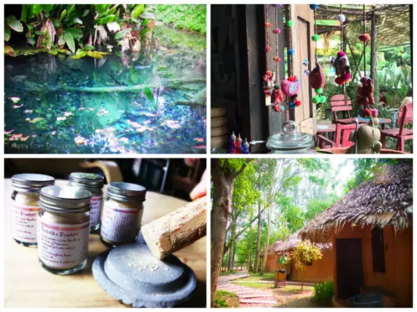 【年末スペシャル】人気記事ランキング　チェンマイ編